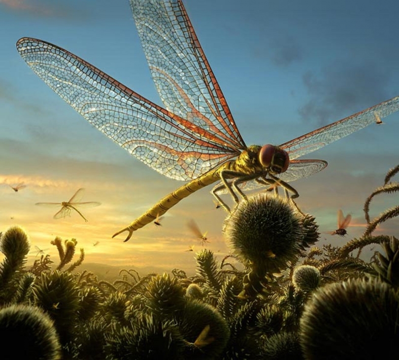 The Largest Insect Ever Existed Was a Giant 'Dragonfly'